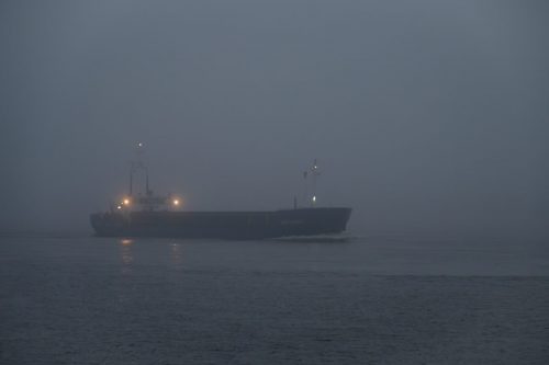 Elbe, Mühlenberger Loch