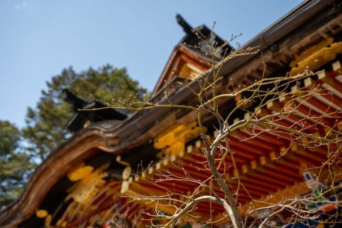 Osaki Hachiman Schrein